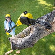 Best Firewood Processing and Delivery  in Kiel, WI