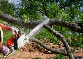 Lawn Pest Prevention in Kiel, WI